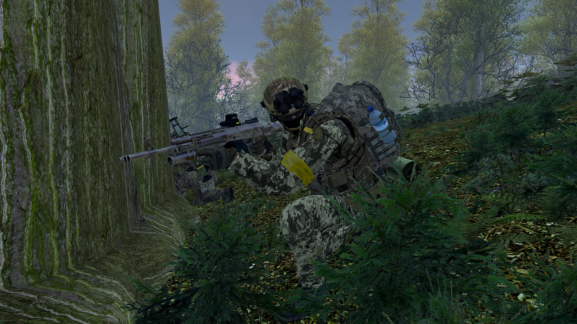 M3 - Operation Beanstalk